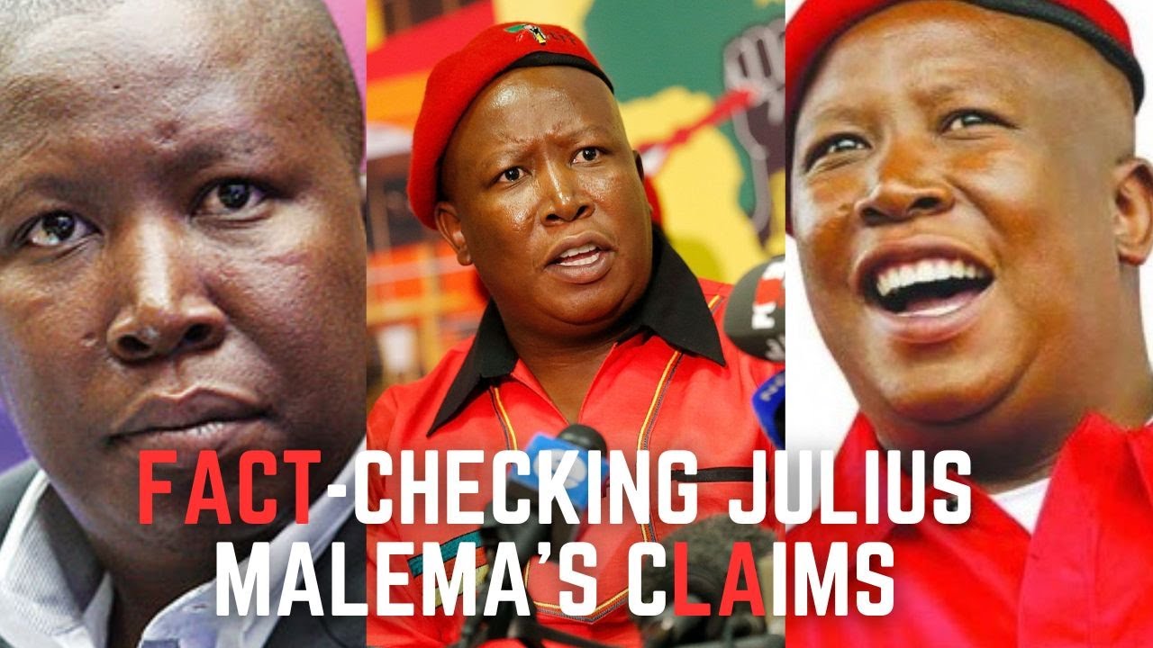 South Africa’s Political Landscape: Julius Malema Influence