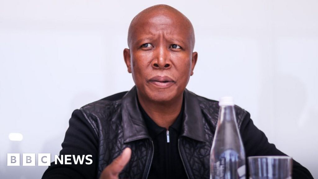 Julius Malema – South Africa's radical agenda-setter