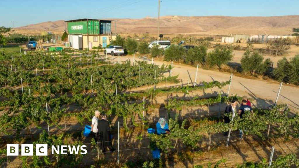 Malawians who unloved Israeli farms deported