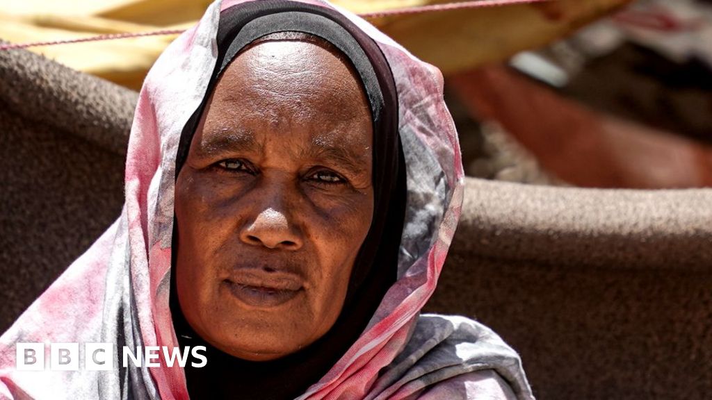 Sudan warfare: Blackmail of invasion in El Fasher leaves family in worry