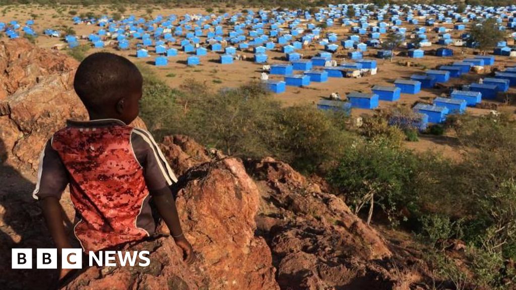 Sudan conflict: Genocide committed in Darfur, HRW says