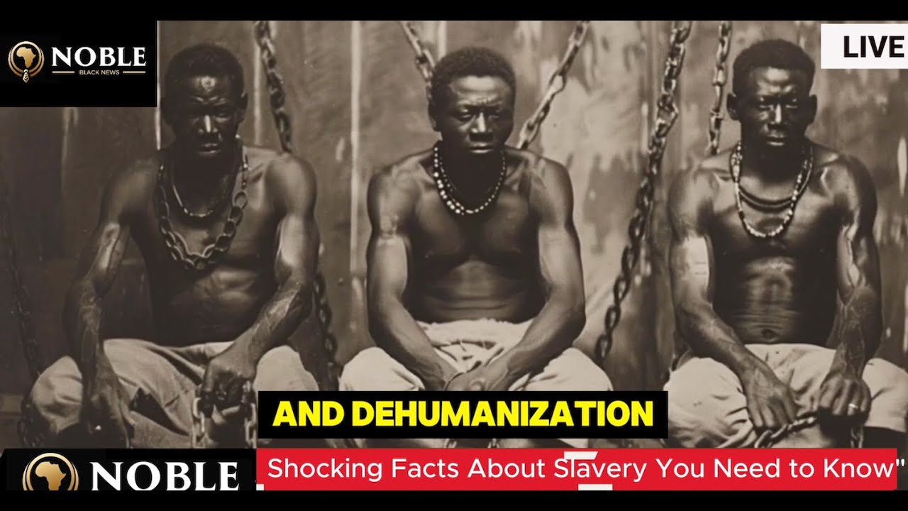 25 Crazy Facts About Slavery That Schools Won’t Teach You