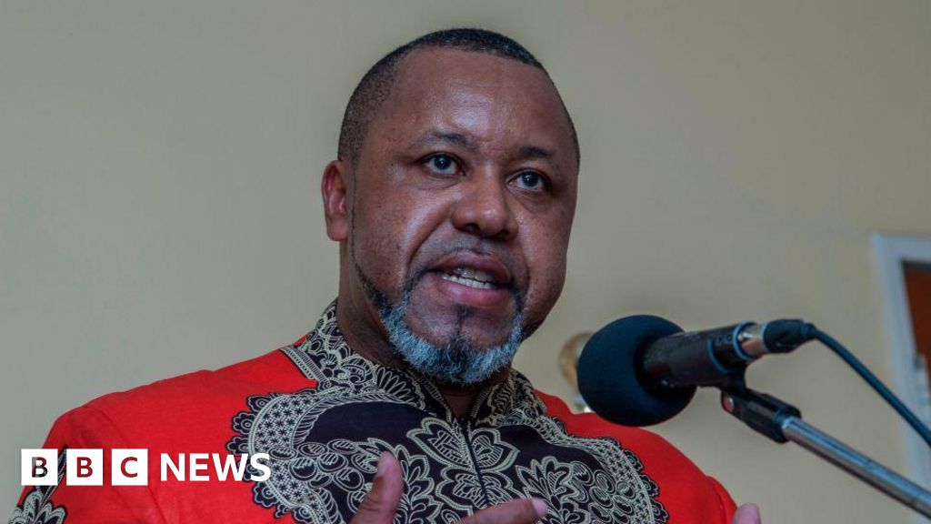 Malawi VP's plane may have crashed in forest, army says
