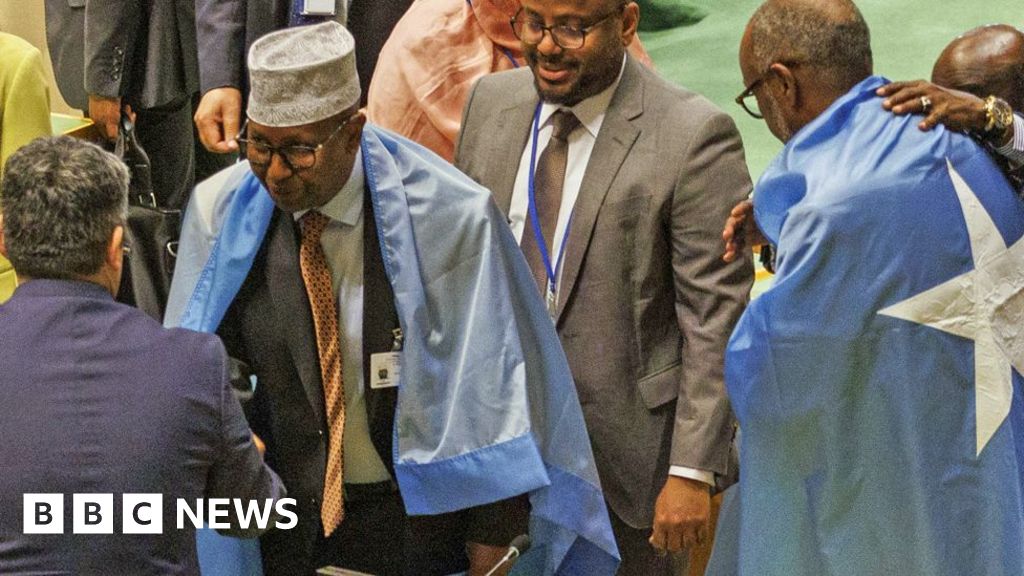 Somalia wins UN Security Council seat