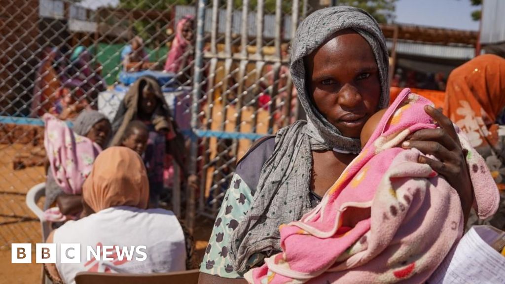 UN Security Council demands end to El Fasher siege