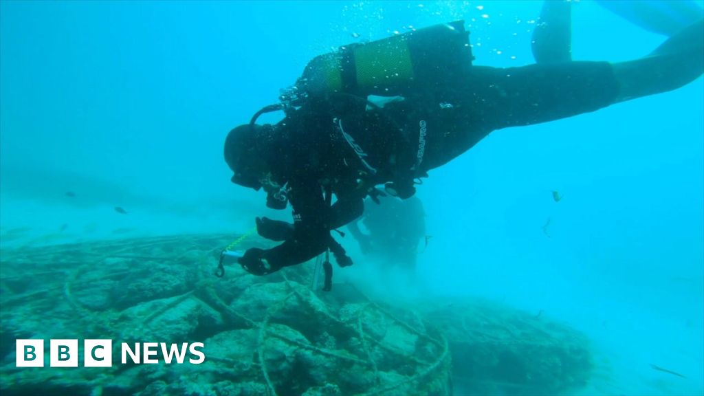 Zanzibar's ingenious solution to protect its coral reefs