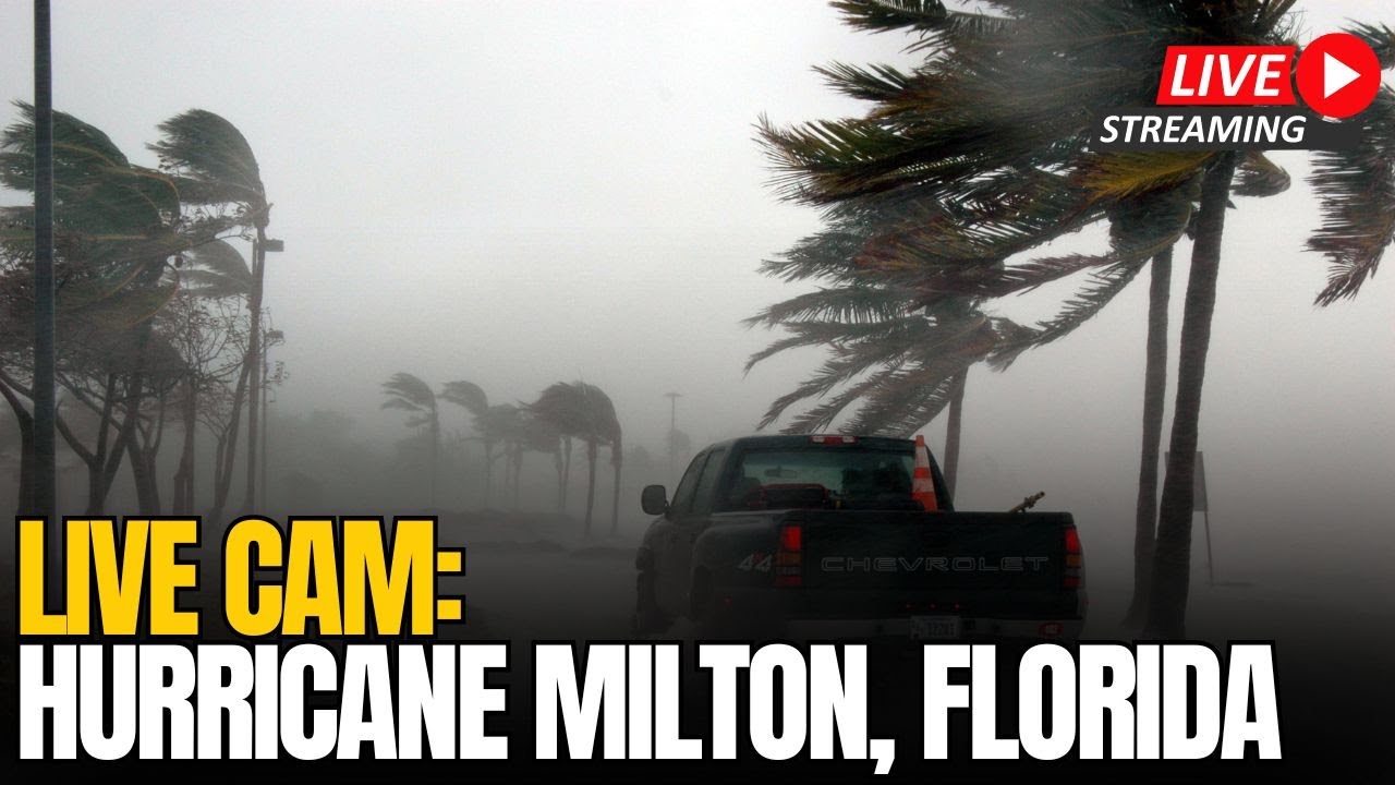 LIVE CAM: Hurricane Milton 2024 | View from Tampa, Florida