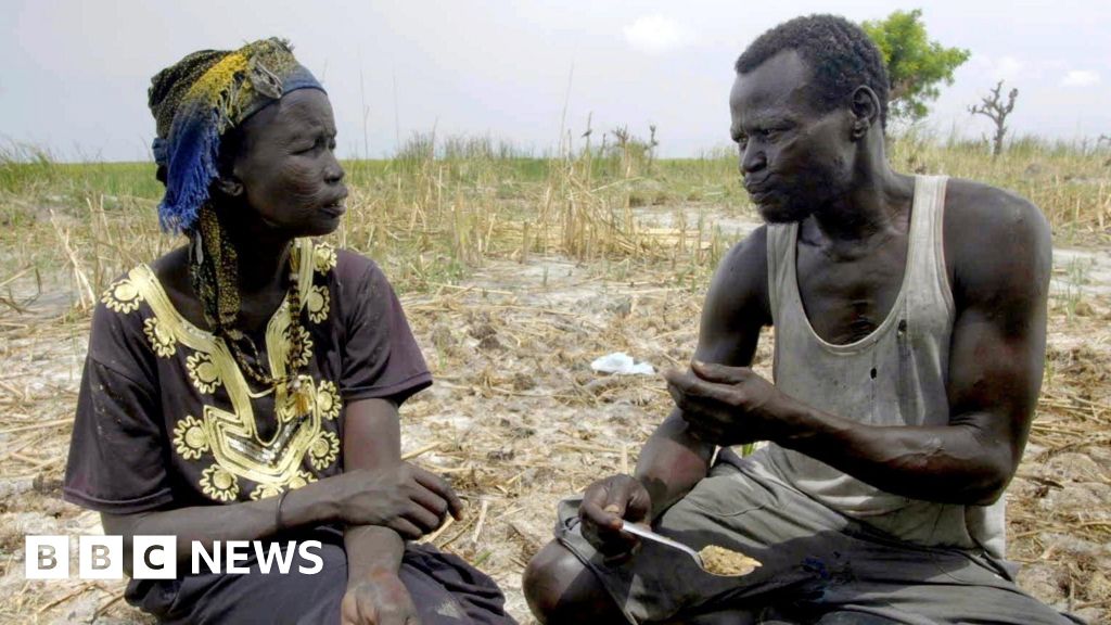 3 times extra land in drought than in Nineteen Eighties, find out about reveals