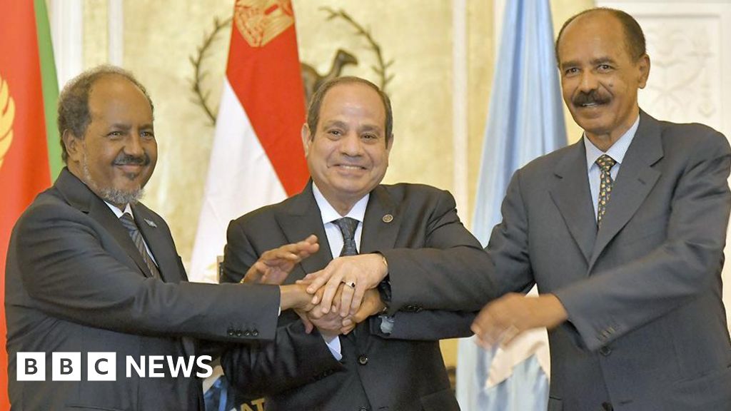 Eritrea, Egypt and Somalia cement ‘axis towards Ethiopia’