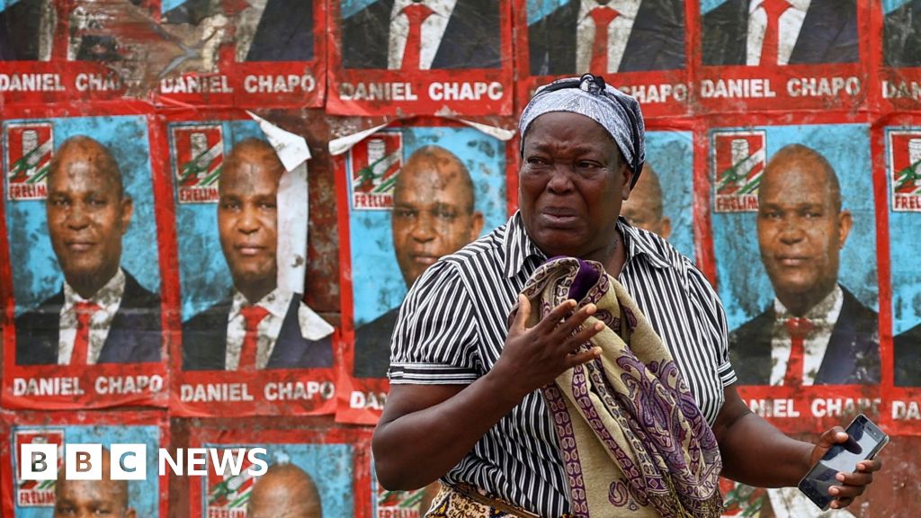 Mozambique election effects being doctored, says EU