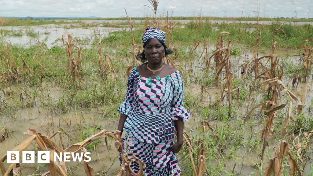 Nigeria situation trade: ‘My farm used to be destroyed via drought nearest floods