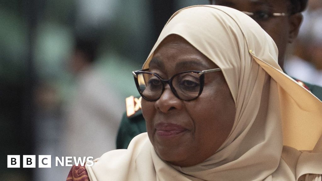 Tanzania’s information websites cancelled over animation deemed important of Samia Suluhu Hassan