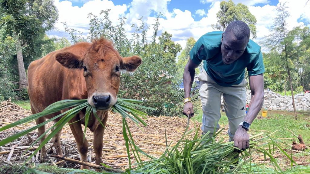 Emmanuel Wanyonyi: Olympic 800m champion says ‘taking a look next livestock used to be difficult’ – Wanyonyi’s be on one?s feet to Olympic champion