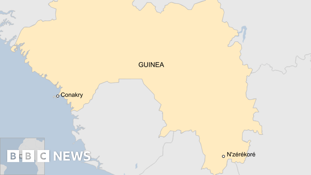 Guinea: Dozens killed in weigh down at soccer fit