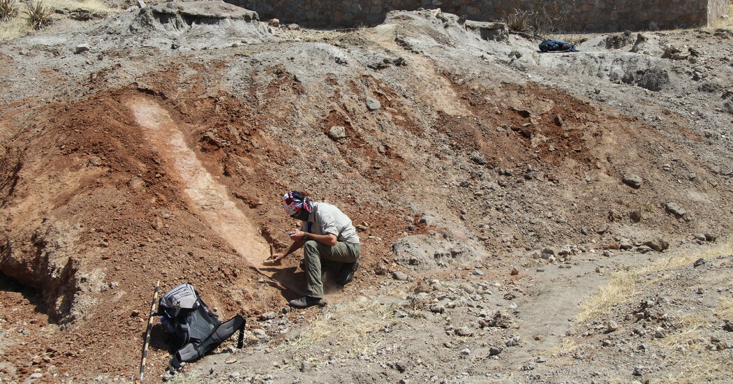 Extinct Human Species Lived in a Brutal Desolate tract, Learn about Reveals