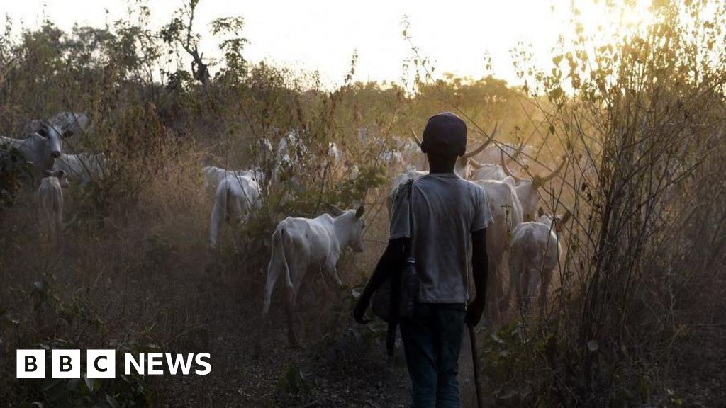 At least 45 killed in central Nigeria raid