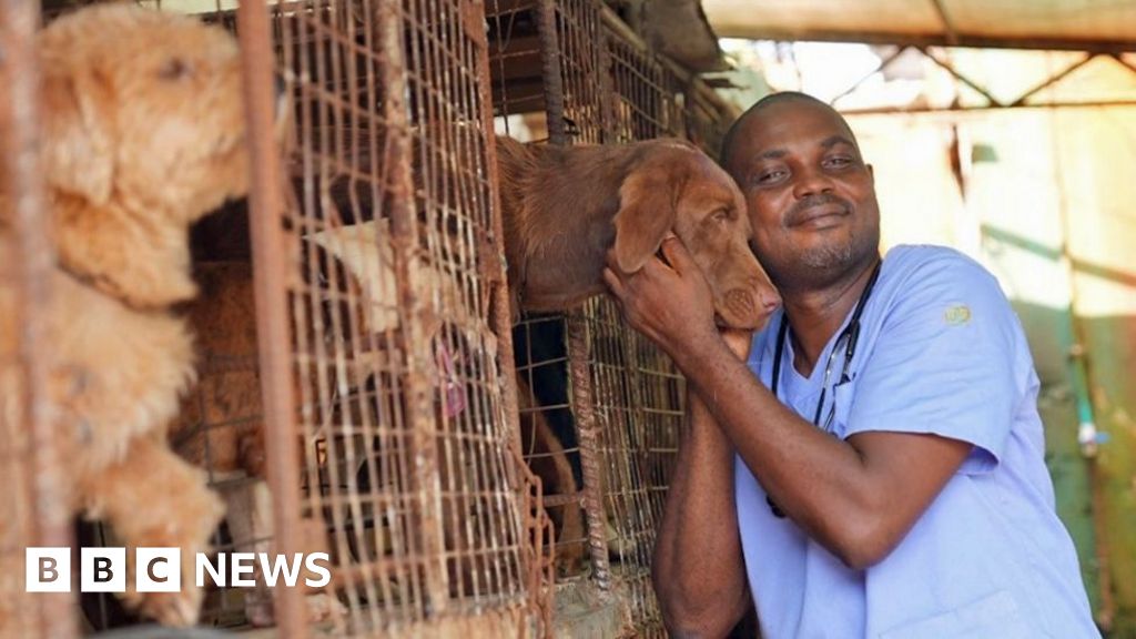 Nigerians abandon their pets due to cost-of-living crisis