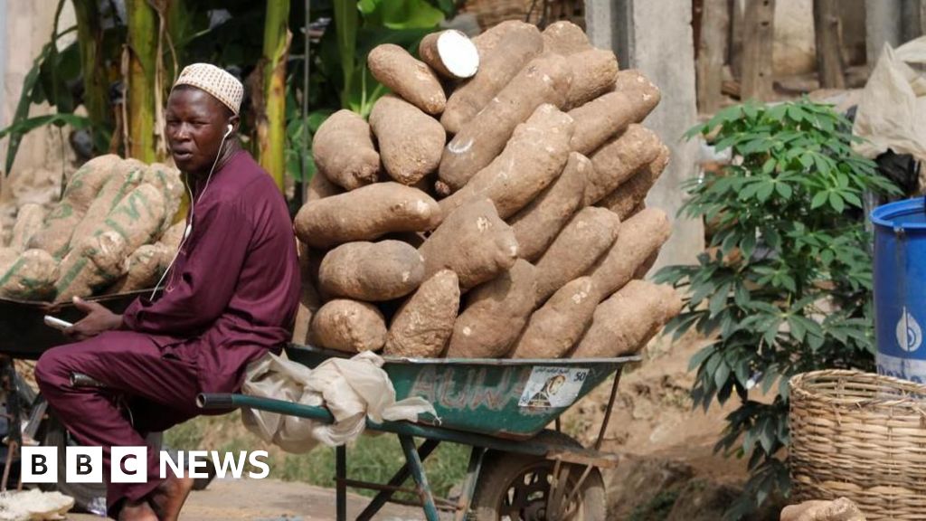 What to know as President Bola Tinubu signs new laws