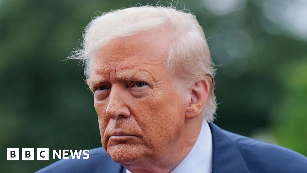 Ethiopian official denies Donald Trump's claim that US funded Gerd