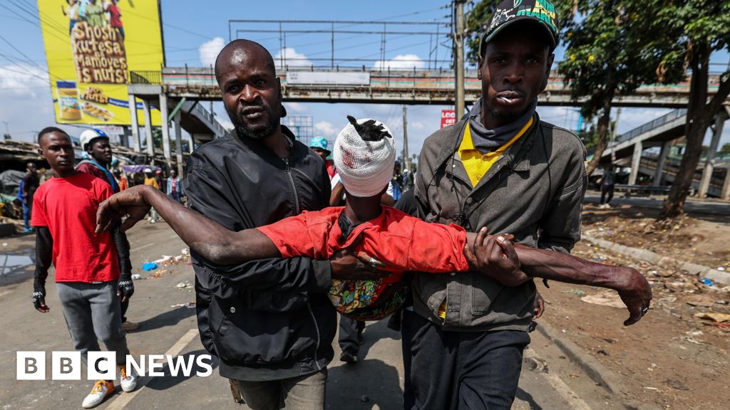 IPOA police watchdog blames deaths on 'disproportionate force'