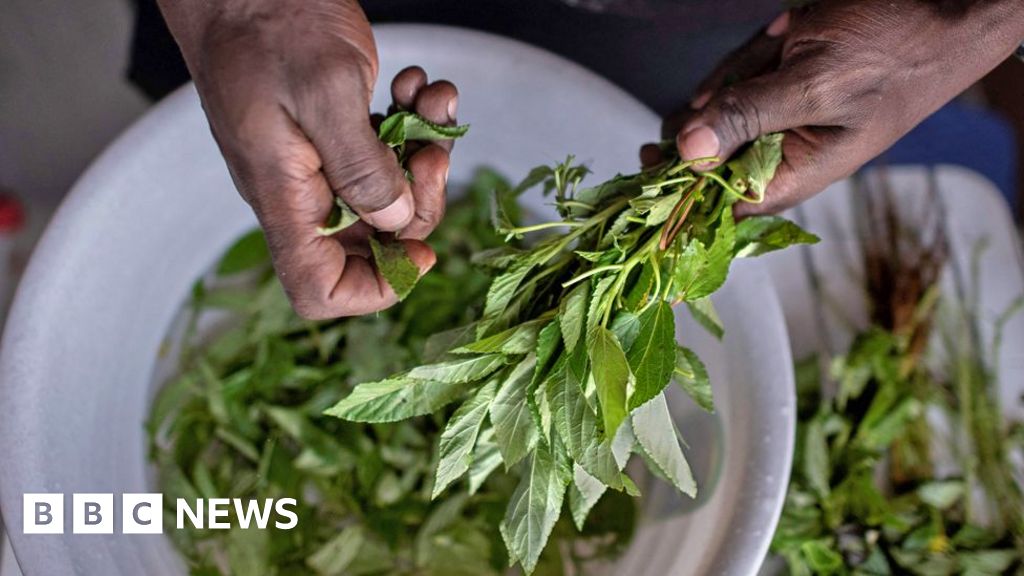 Why Kenya's forgotten indigenous vegetables are proving a culinary hit