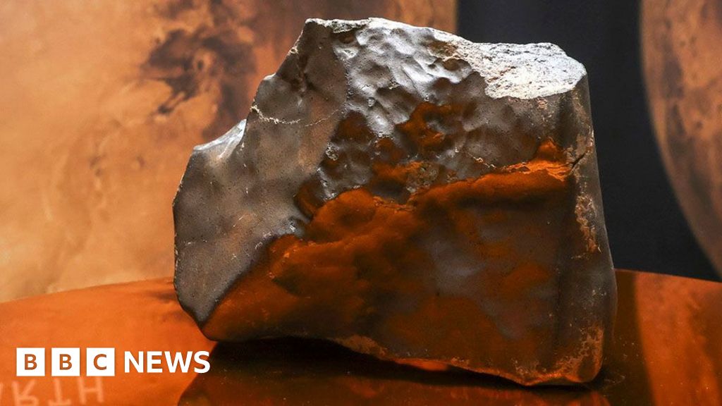 Niger's anger that a piece of Mars ended up for auction