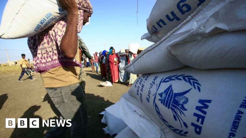 Sudan expels UN World Food Programme officials as conflict escalates