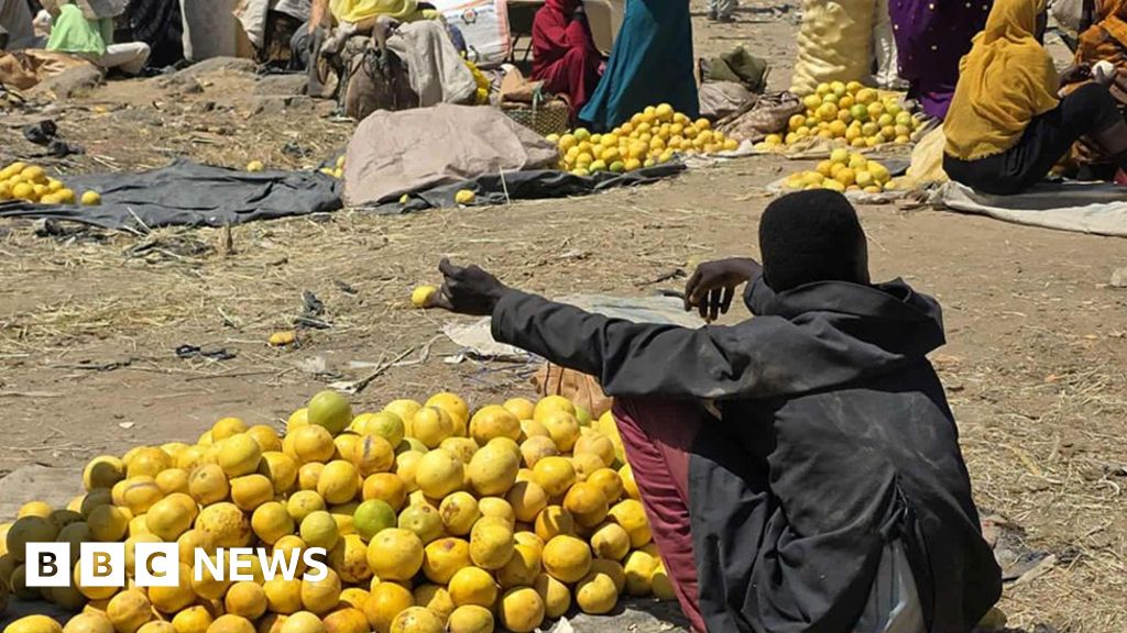 The fertile Jebel Marra region where food is rotting amid the conflict