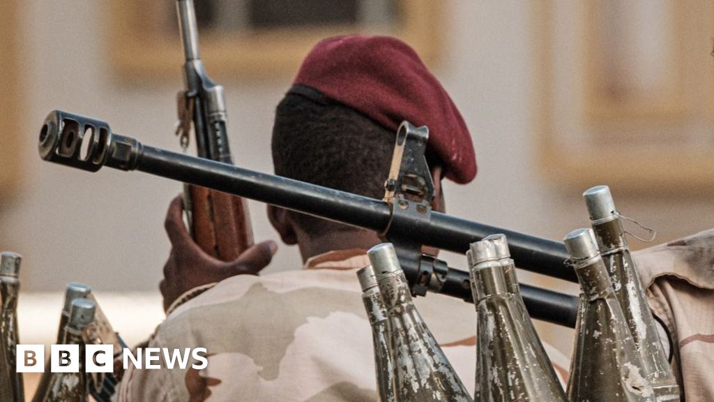 WHO chief hits out over reports of mass killings in el-Fasher hospital